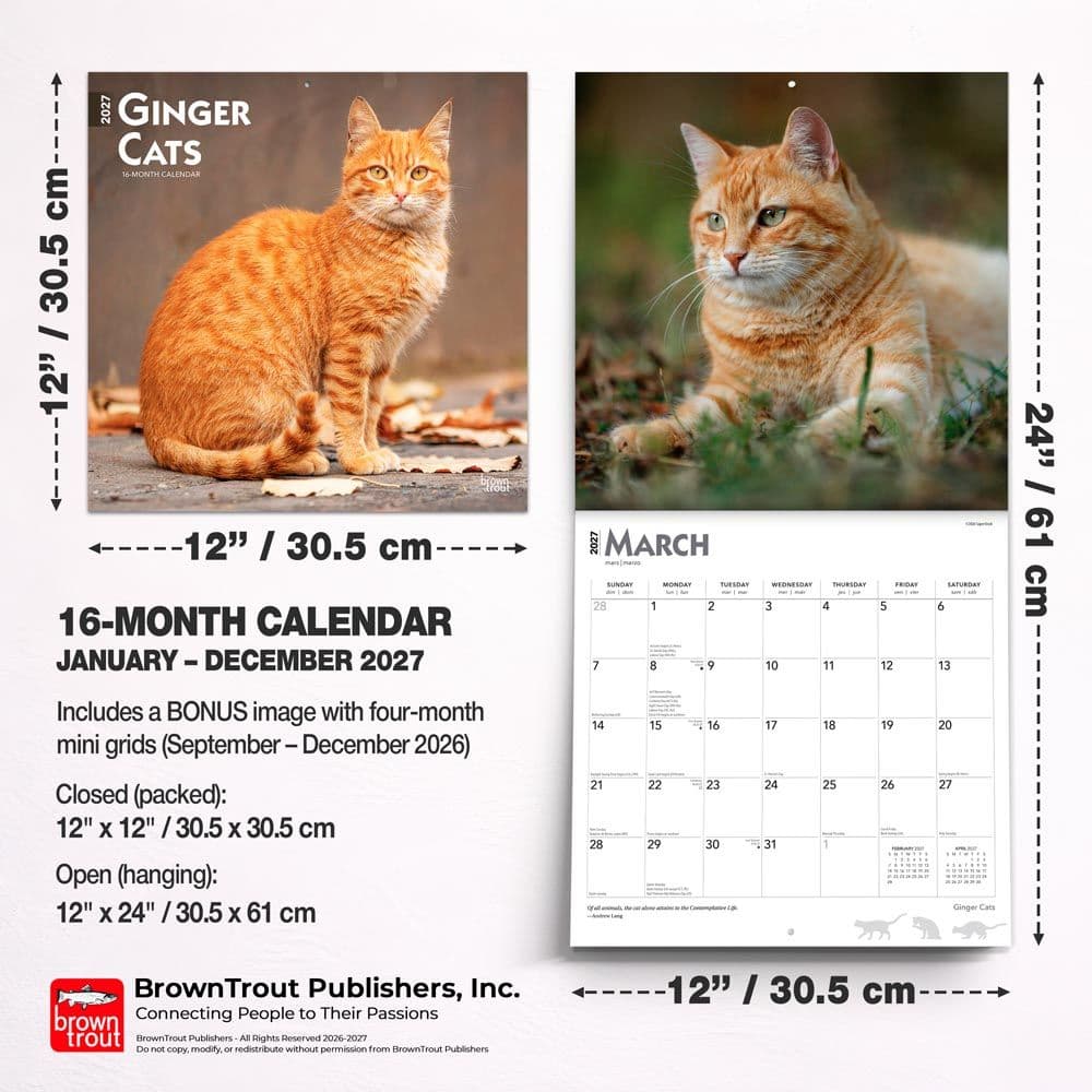 Cats Ginger 2027 Wall Calendar Sixth Alternate Image