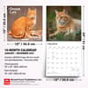 image Cats Ginger 2027 Wall Calendar Sixth Alternate Image