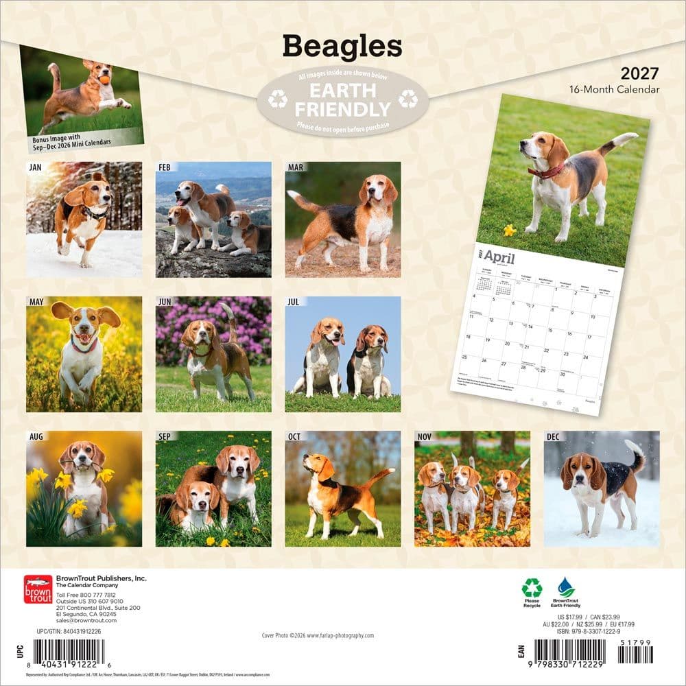 Beagles 2027 Wall Calendar First Alternate Image