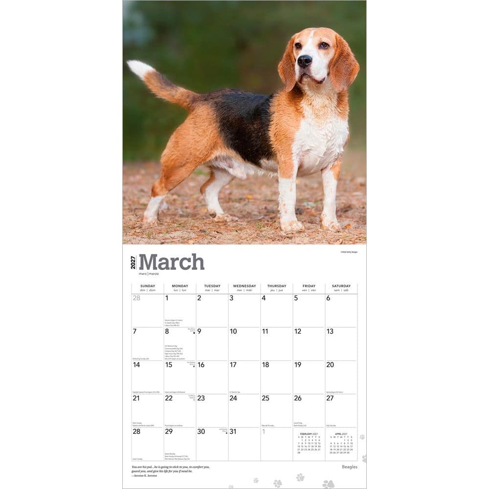 Beagles 2027 Wall Calendar Second Alternate Image