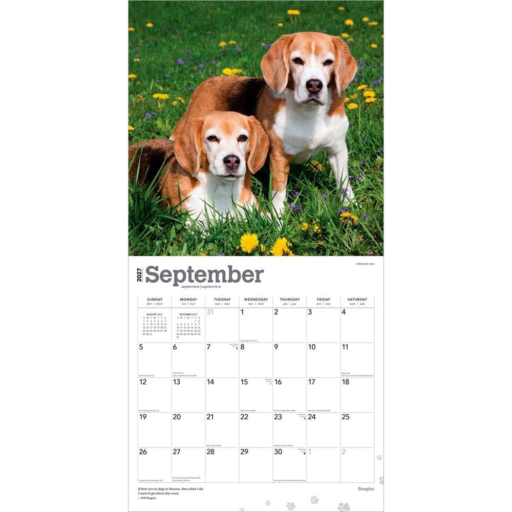 Beagles 2027 Wall Calendar Third Alternate Image