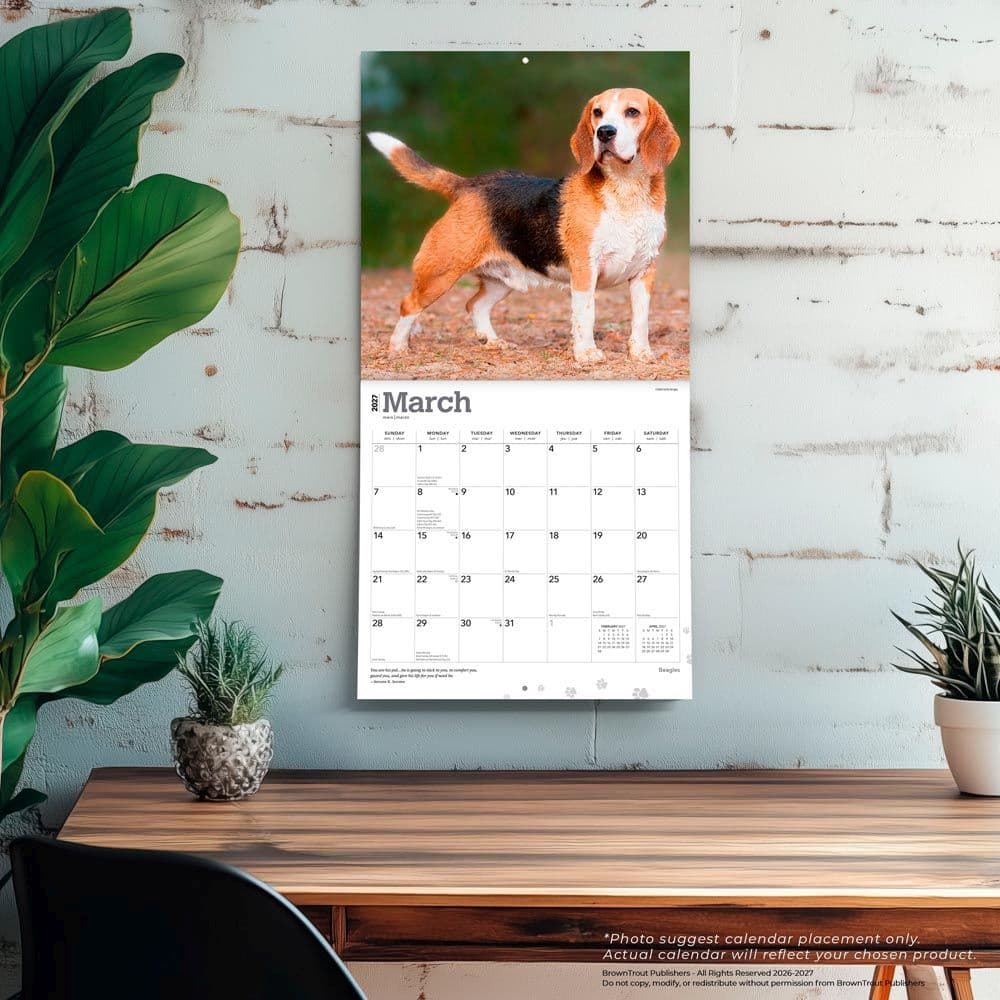 Beagles 2027 Wall Calendar Fourth Alternate Image