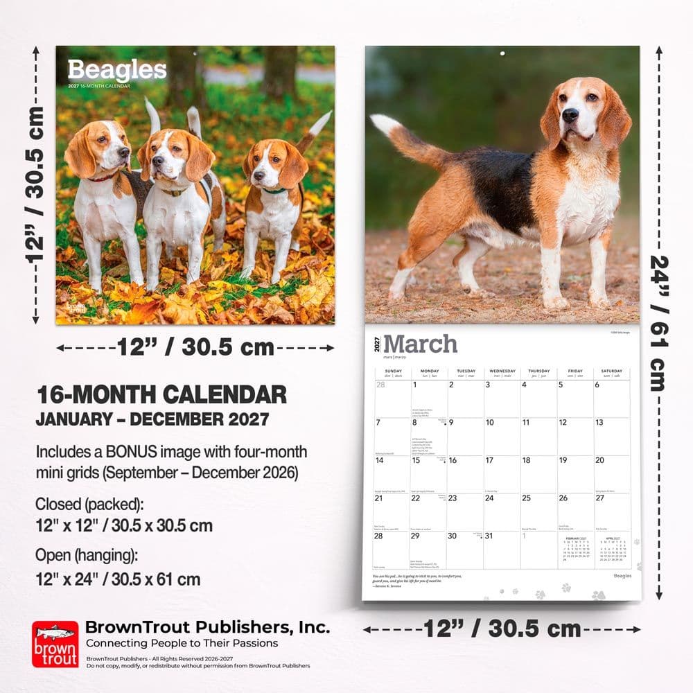 Beagles 2027 Wall Calendar Sixth Alternate Image