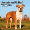 image Pit Bull Terriers 2027 Wall Calendar Main Product Image