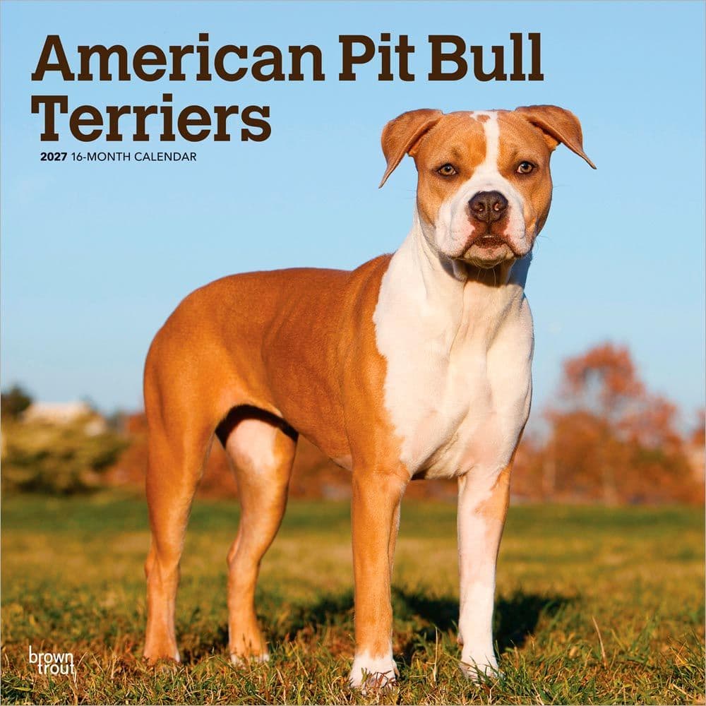 image Pit Bull Terriers 2027 Wall Calendar Main Product Image