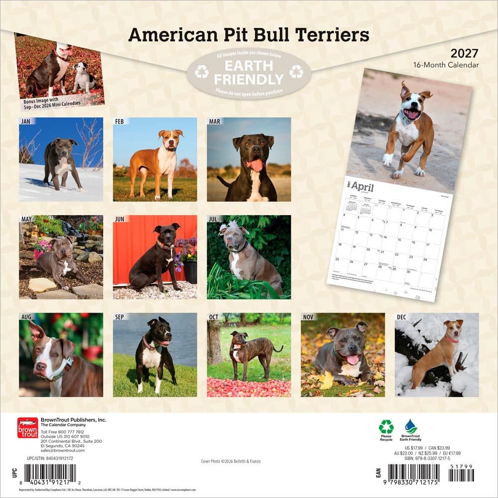 Pit Bull Terriers 2027 Wall Calendar First Alternate Image