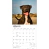 image Pit Bull Terriers 2027 Wall Calendar Second Alternate Image