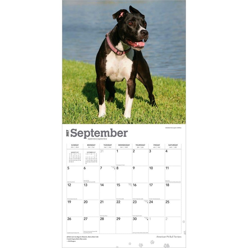 Pit Bull Terriers 2027 Wall Calendar Third Alternate Image