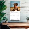image Pit Bull Terriers 2027 Wall Calendar Fourth Alternate Image