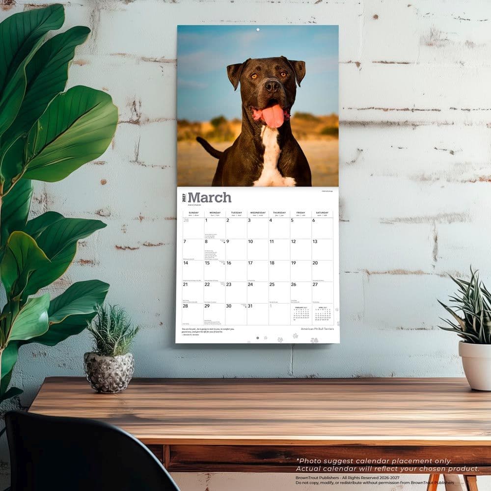Pit Bull Terriers 2027 Wall Calendar Fourth Alternate Image