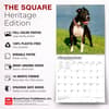 image Pit Bull Terriers 2027 Wall Calendar Fifth Alternate Image