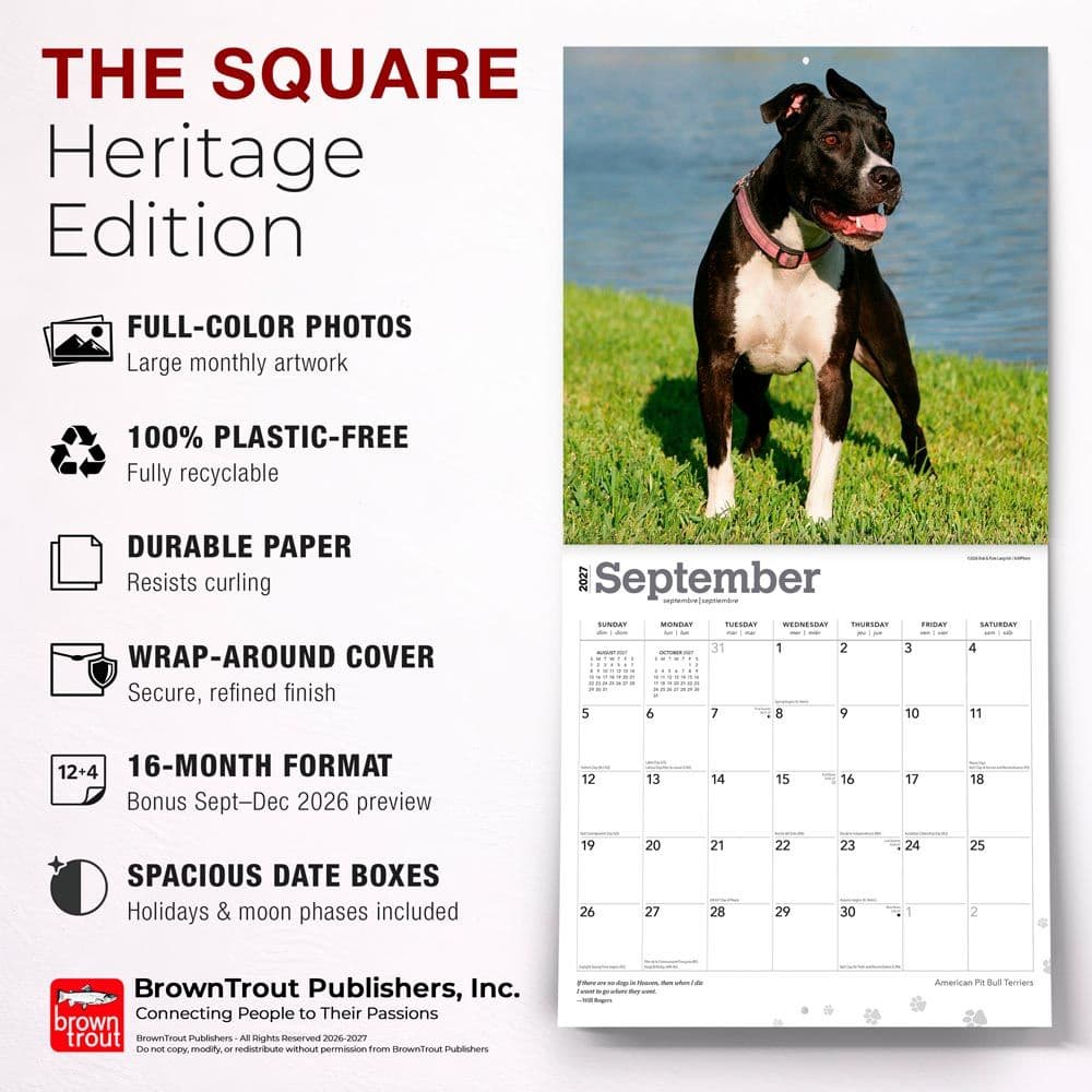 Pit Bull Terriers 2027 Wall Calendar Fifth Alternate Image