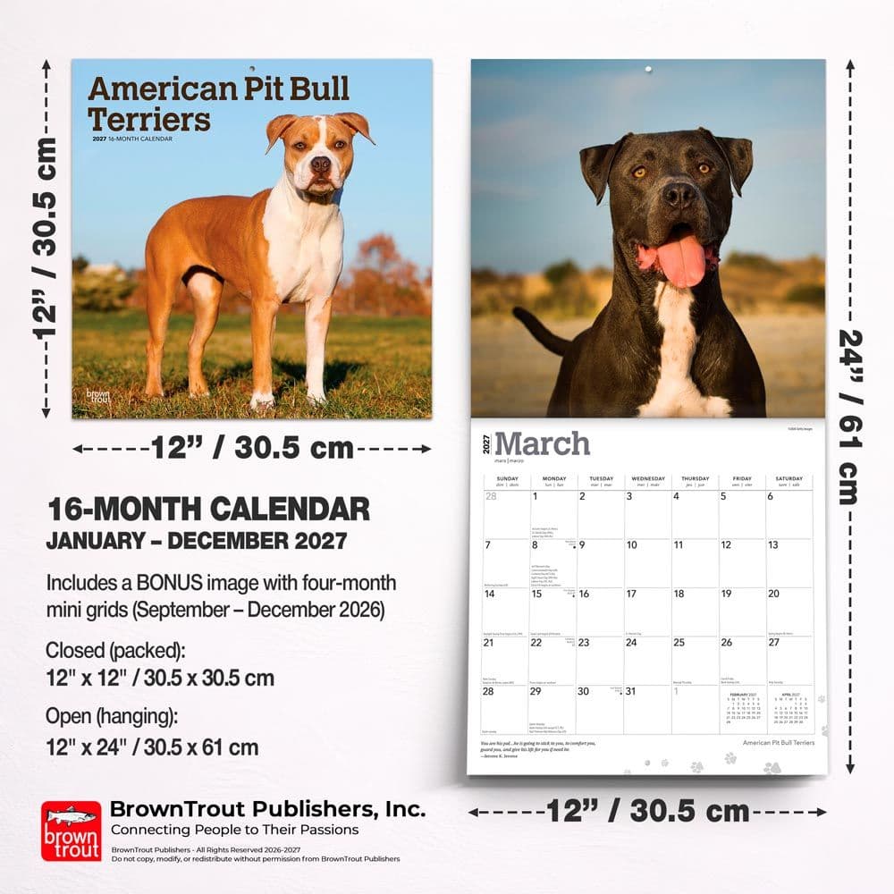 Pit Bull Terriers 2027 Wall Calendar Sixth Alternate Image