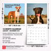 image Pit Bull Terriers 2027 Wall Calendar Sixth Alternate Image