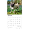 image Pugs 2027 Wall Calendar Second Alternate Image