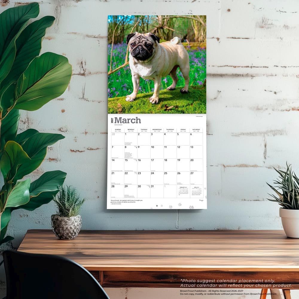 Pugs 2027 Wall Calendar Fourth Alternate Image