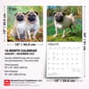 image Pugs 2027 Wall Calendar Sixth Alternate Image