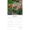image Japanese Gardens 2027 Wall Calendar Second Alternate Image