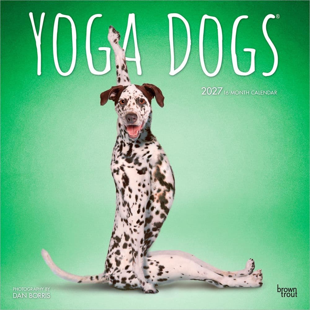 Yoga Dogs 2027 Wall Calendar Main Product Image