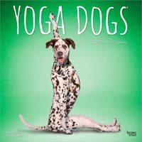 image Yoga Dogs 2027 Wall Calendar Main Product Image