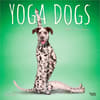 image Yoga Dogs 2027 Wall Calendar Main Product Image