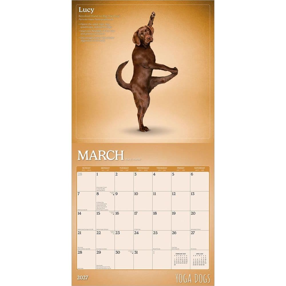 Yoga Dogs 2027 Wall Calendar Second Alternate Image