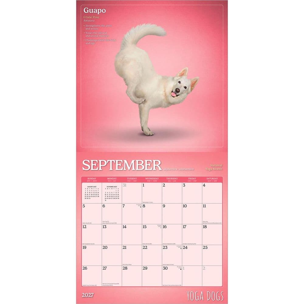 Yoga Dogs 2027 Wall Calendar Third Alternate Image