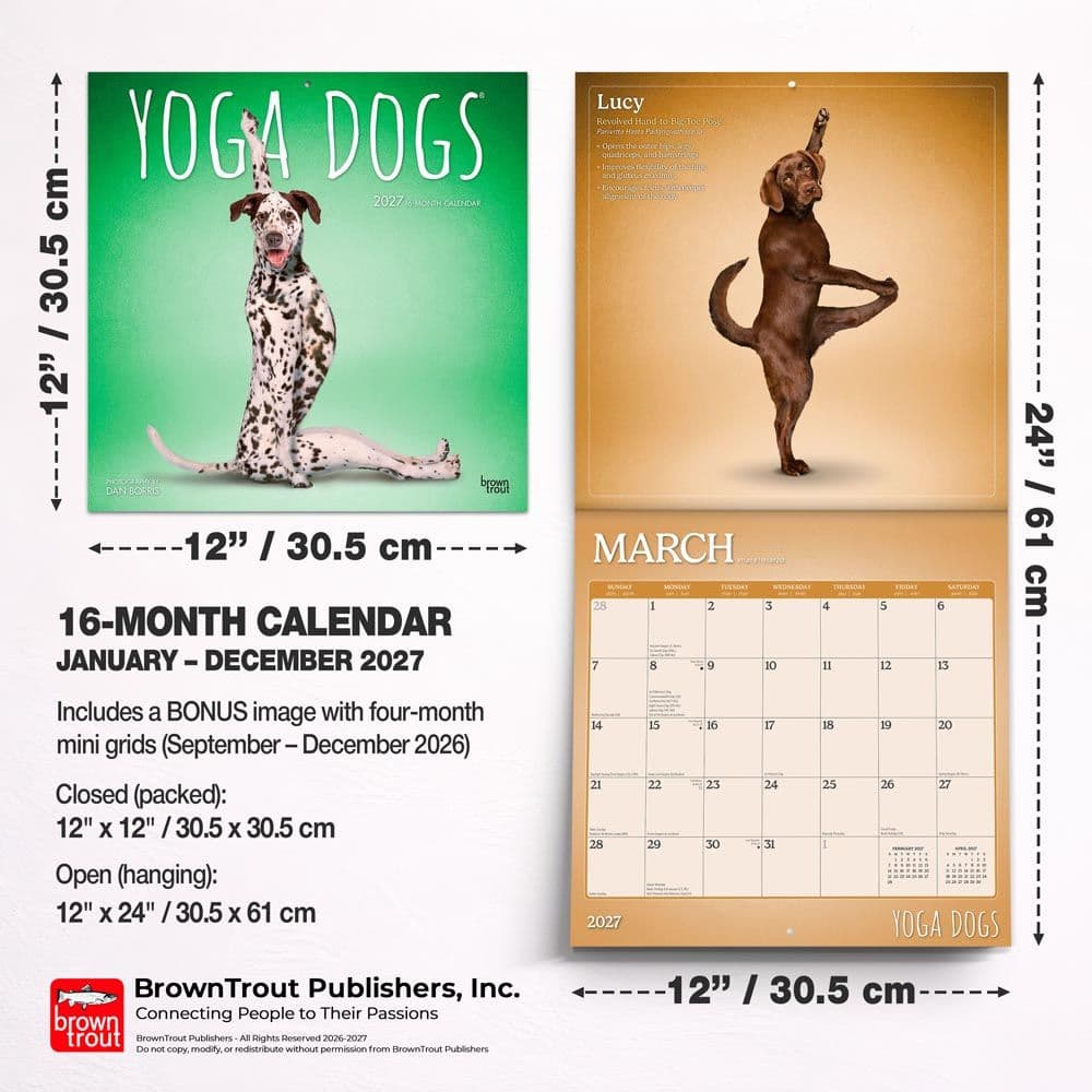 Yoga Dogs 2027 Wall Calendar Sixth Alternate Image