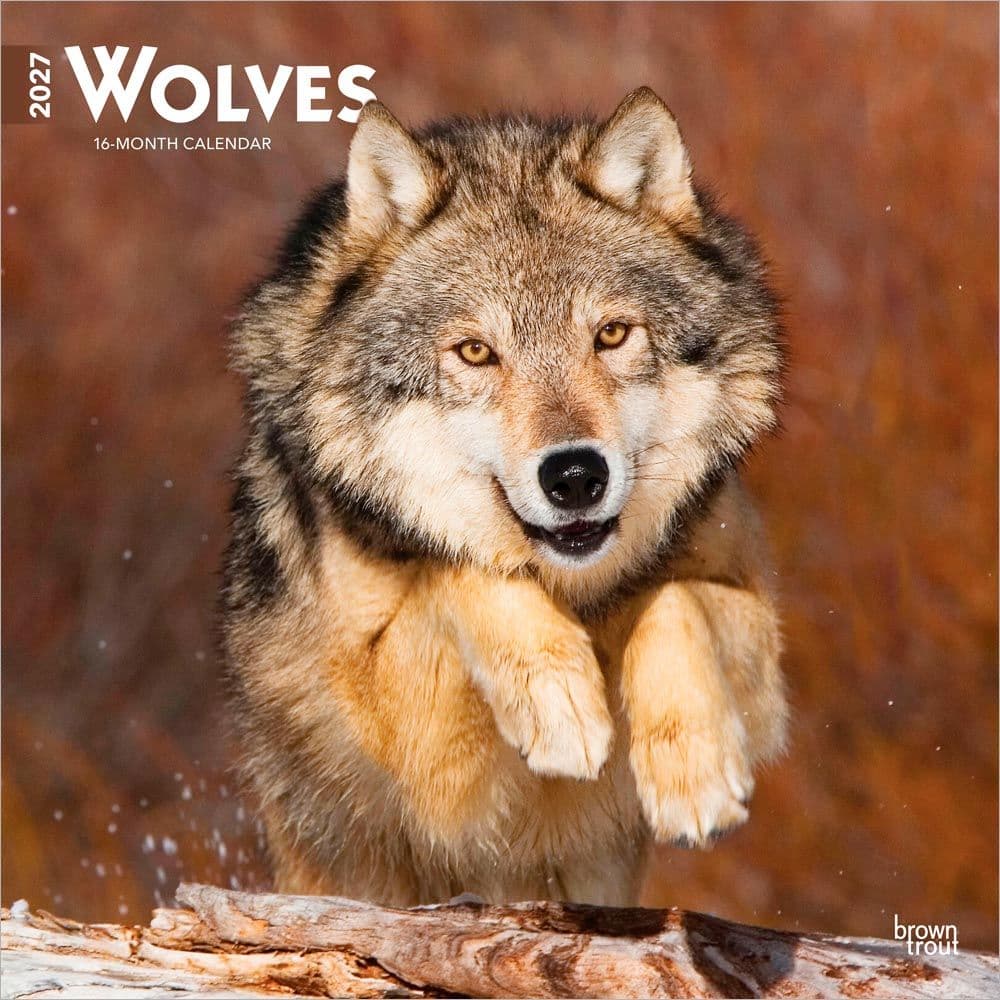 image Wolves 2027  Wall Calendar Main Product Image