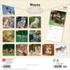 image Wolves 2027  Wall Calendar First Alternate Image