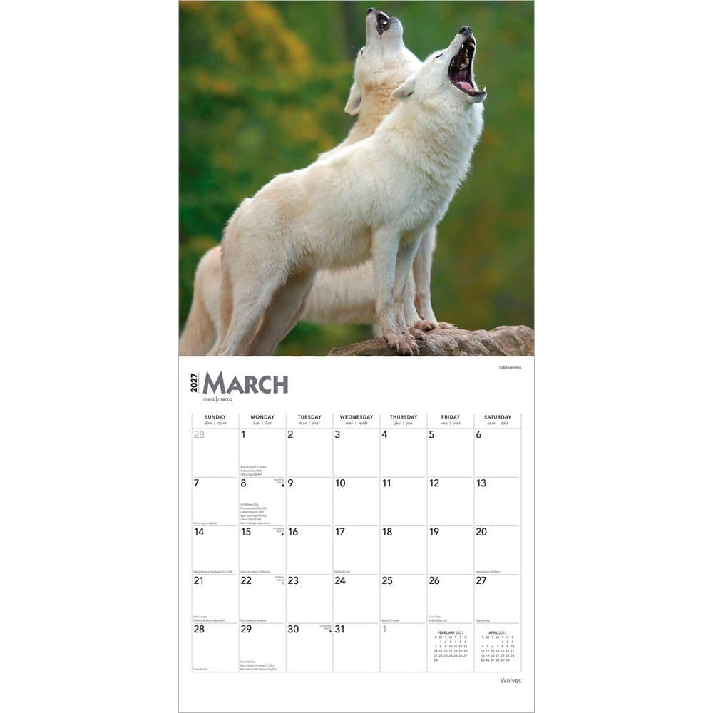 Wolves 2027  Wall Calendar Second Alternate Image