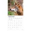 image Wolves 2027  Wall Calendar Third Alternate Image