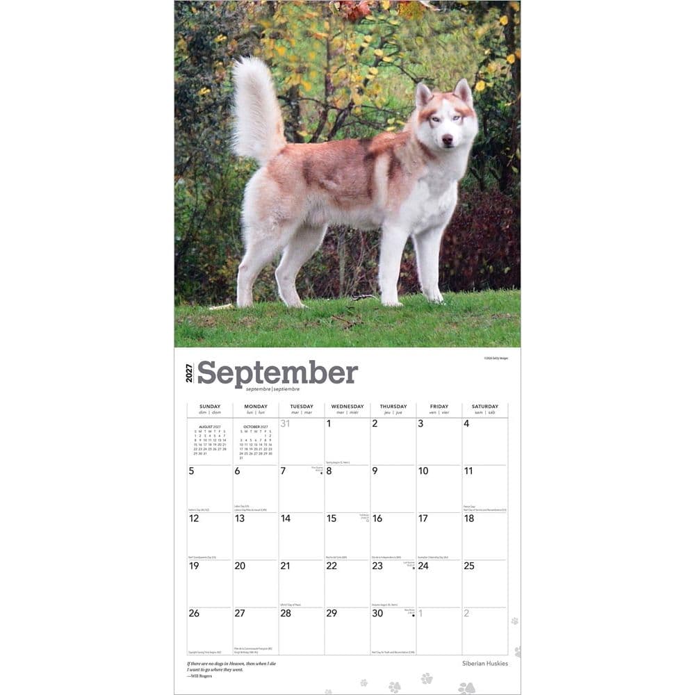 Siberian Huskies 2027 Wall Calendar Third Alternate Image
