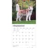 image Siberian Huskies 2027 Wall Calendar Third Alternate Image
