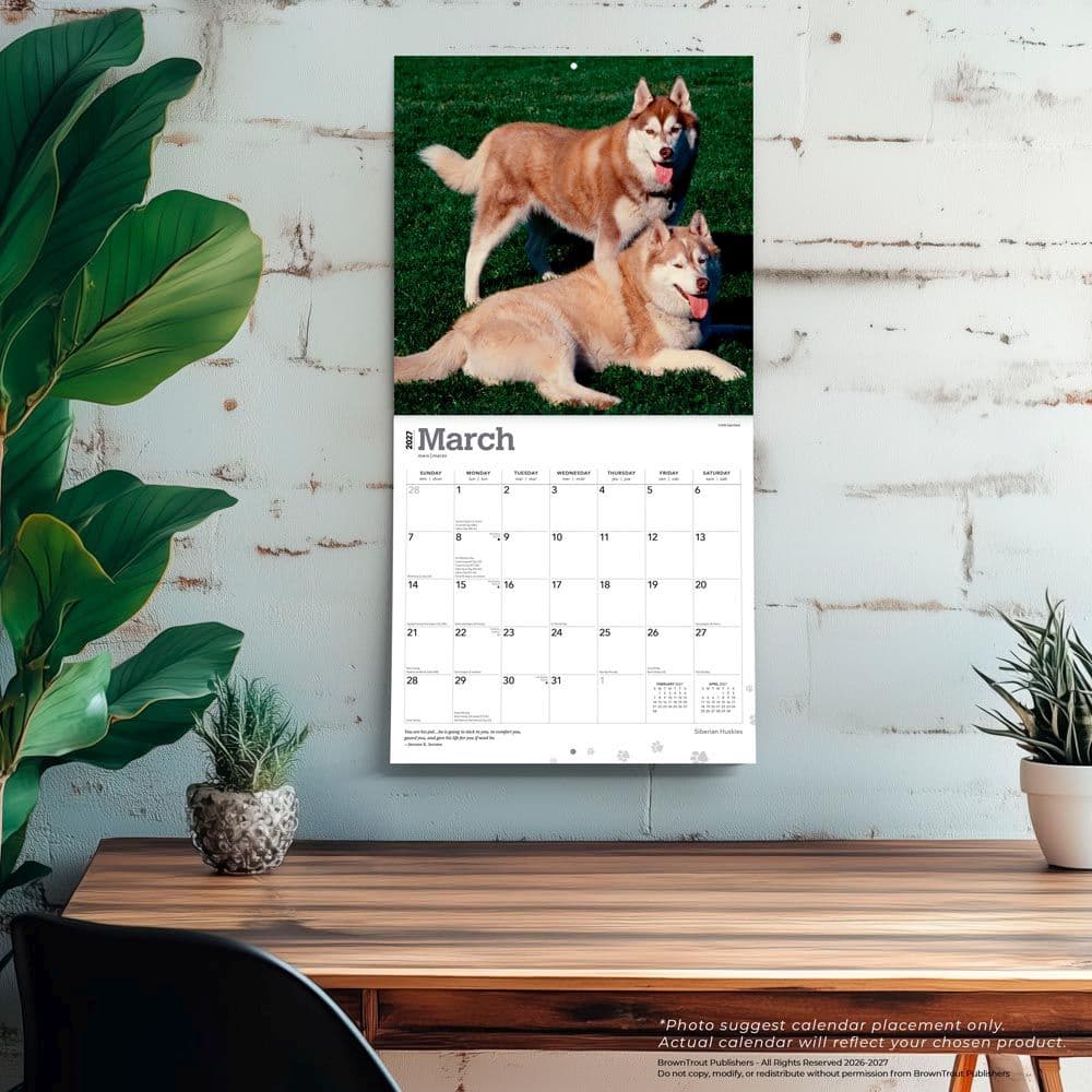 Siberian Huskies 2027 Wall Calendar Fourth Alternate Image