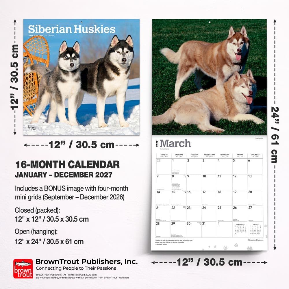 Siberian Huskies 2027 Wall Calendar Sixth Alternate Image