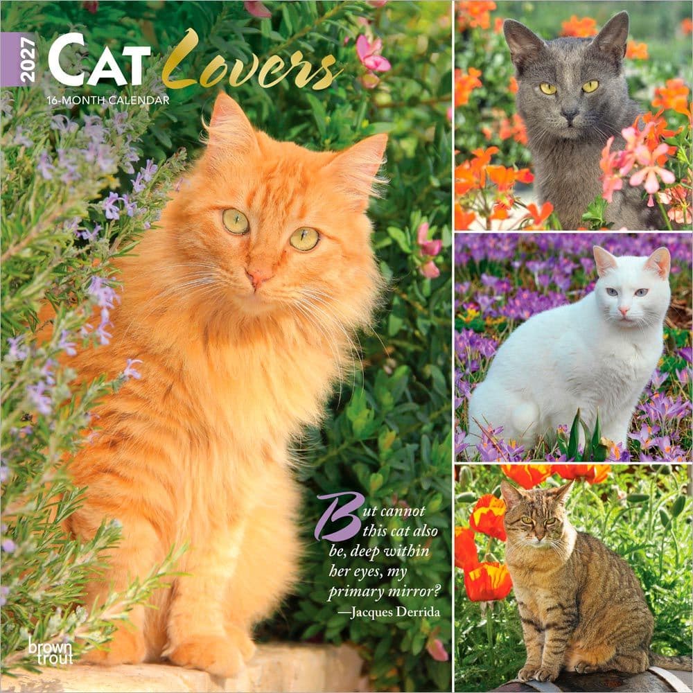 image Cat Lovers  2027 Wall Calendar Main Product Image