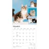 image Cat Lovers  2027 Wall Calendar Second Alternate Image