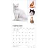 image Cat Lovers  2027 Wall Calendar Third Alternate Image
