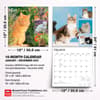 image Cat Lovers  2027 Wall Calendar Sixth Alternate Image