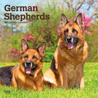 image German Shepherds 2027 Wall Calendar Main Product Image