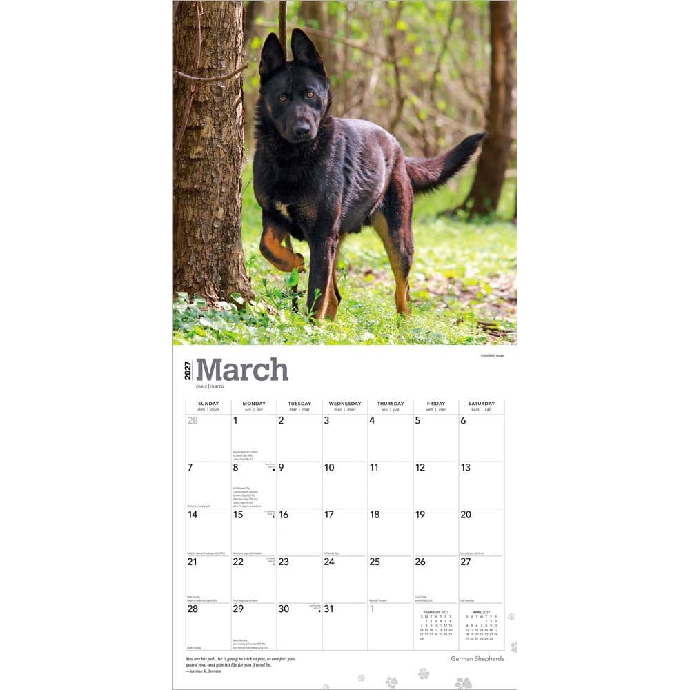 German Shepherds 2027 Wall Calendar Second Alternate Image