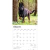 image German Shepherds 2027 Wall Calendar Second Alternate Image