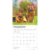 image German Shepherds 2027 Wall Calendar Third Alternate Image