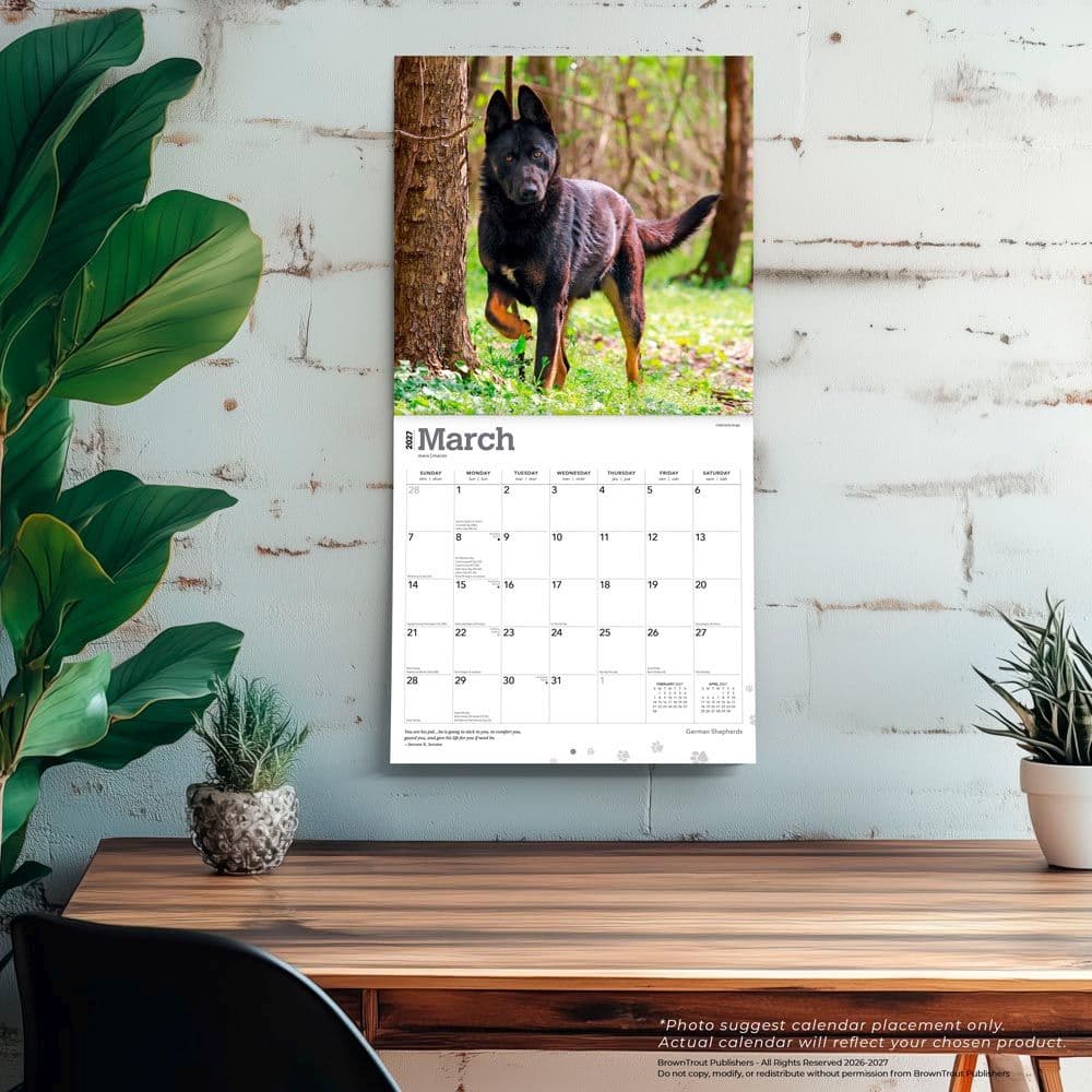 German Shepherds 2027 Wall Calendar Fourth Alternate Image