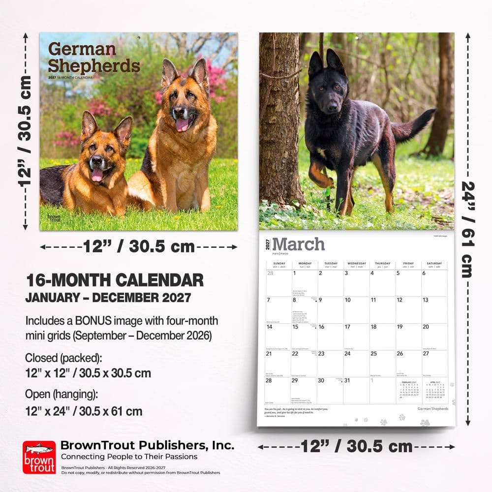 German Shepherds 2027 Wall Calendar Sixth Alternate Image
