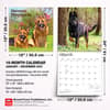 image German Shepherds 2027 Wall Calendar Sixth Alternate Image