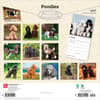 image Poodles 2027 Wall Calendar First Alternate Image