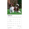 image Poodles 2027 Wall Calendar Second Alternate Image