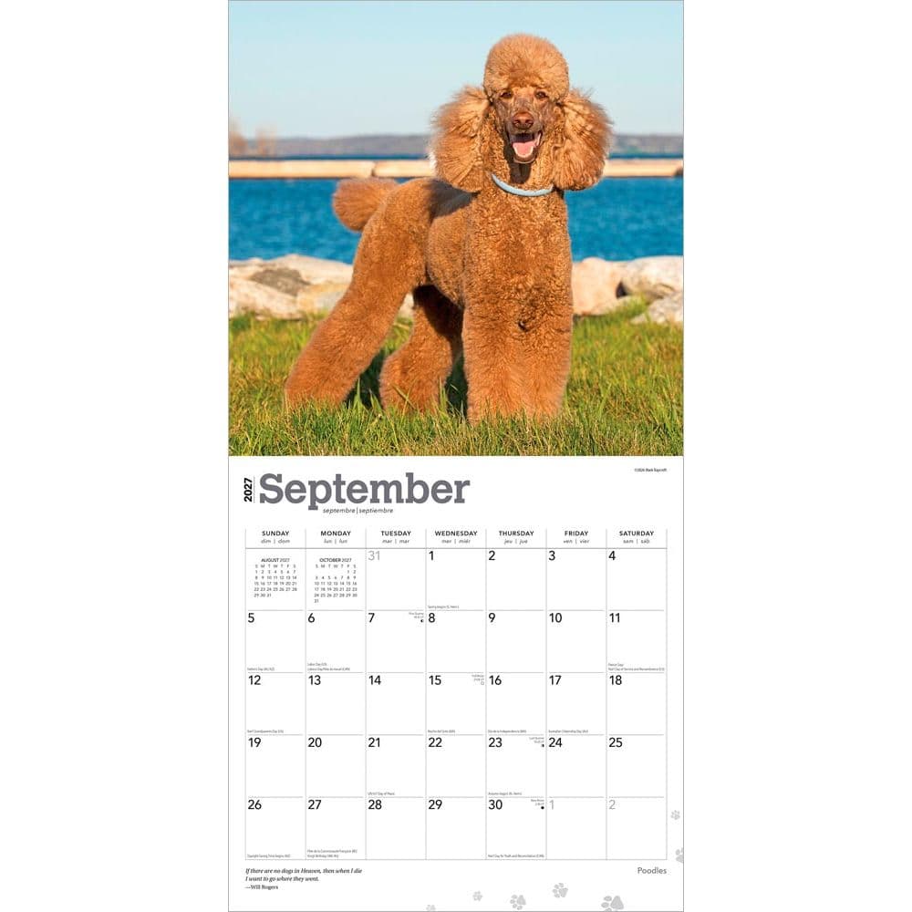 Poodles 2027 Wall Calendar Third Alternate Image